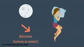 L'effet de la pleine lune sur notre sommeil