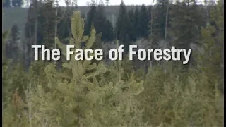 The Face of Forestry