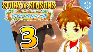 🌱 Unser neues Pferd [#3] Story of Seasons: A Wonderful Life