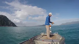 Giant Trevally on the wrong gear