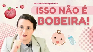 15 Semanas da gestação!!