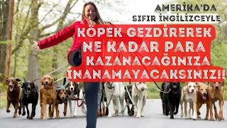 Sıfır İngilizceyle Amerika'da Çalışmak!! Köpek gezdirerek ayda 10.000$ nasıl kazanılır? ~32