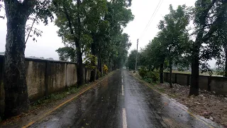 4k Walking in the Rainy Day in Beautiful Road | ASMR Rain Walk