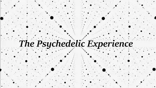 The Psychedelic Experience - A Lethal Discussion 04