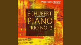 Piano Trio in E-Flat Major, Op.100 (D.929) : I. Allegro