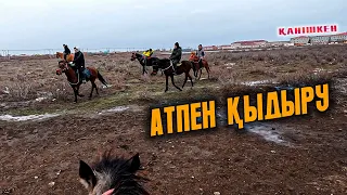 Атқа мініп серуендеу. Ат аяғы тайып құлап үстіндеге адамды сүйреді