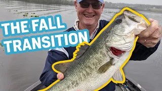 Bass Fishing The Fall Transition (2020)