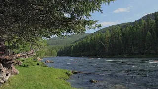 Sounds of a mountain river, sounds of nature.