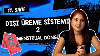 30) MENSTRÜAL DÖNGÜ - DİŞİ ÜREME SİSTEMİ 2 | 11. SINIF | AYT BİYOLOJİ DERS NOTLARI 2024