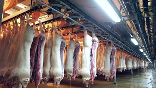 Amazing ! Amazing Pig Farm Technology - Modern Pig Slaughter & Processing Factory - Gourmet Sausage