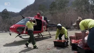 Австралийские спасатели сбросили тонну овощей для пострадавших от пожаров животных