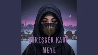 Şoreşger Karê meye