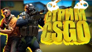 Приехал с больницы! :), стрим по CS:GO, PUBG, заходи :)