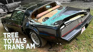 1979 Pontiac Trans Am Totaled by Tree in Alabama