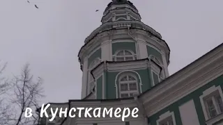 в Кунсткамере