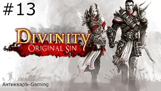 Divinity: Original Sin Enhanced Edition. Полное прохождение. Серия №13