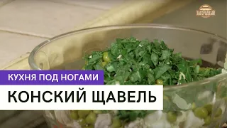 Конский щавель  Кухня под ногами