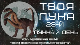 ТВОЯ ЛУНА. 29-й ЛУННЫЙ ДЕНЬ