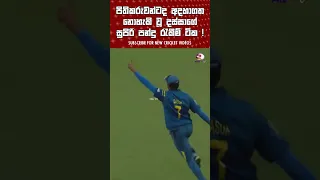 මතකද මේ ටික ? 🙂 Dasun Shanaka Best catches Srilanka Cricket top catches Captian Negambo Nailer Dassa