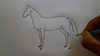 how to draw horse drawing easy step for beginners