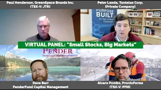 VIRTUAL PANEL: "Small Stocks, Big Markets" Hosted by Dave Barr