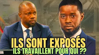 URGENT : LA FACE CACHÉE DE DIOMAYE FAYE ET OUSMANE SANKO