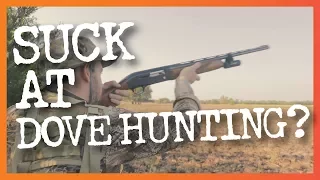 8 Common Dove Hunting Mistakes & How to Fix Them
