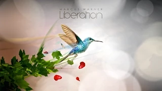 Album Suite: Marcus Warner - Liberation (October 2014)