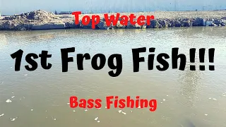 1st Bass on a Frog on New Setup in 2020!!!