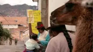 Healing House Cusco