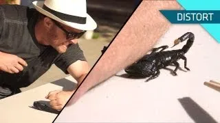 Getting Stung by a Scorpion. In Slow Motion!