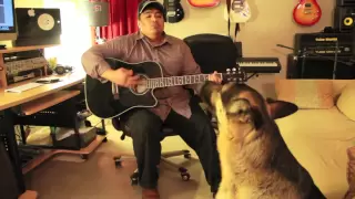 Dog Singing With Guitar