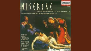 Miserere in C Minor, ZWV 57: Gloria Patri II (Chorus)