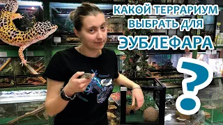 Какой террариум выбрать для эублефара?