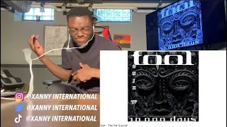 I WAS NOT EXPECTING THIS AT ALL! Tool - The Pot (Lyrics) | REACTION