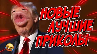 😂Я РЖАЛ ДО СЛЕЗ | ПРИКОЛЫ ЗА АПРЕЛЬ | FUNNY MOMENTS 2023 | 13 МИНУТ СМЕХА! | #401