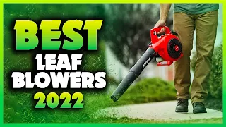 Top 5 Best Leaf Blowers You can Buy Right Now [2023]