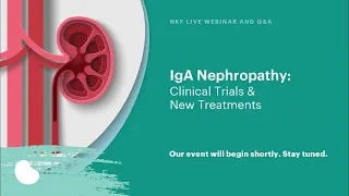 IgA Nephropathy Clinical Trial: VISIONARY Trial (Sibeprenlimab)