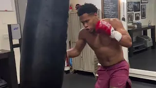 Devin Haney Shows Regis Prograis New POWER & SPEED at 140 lbs Training Fundamentals