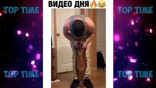 НОВЫЕ смешные ПРИКОЛЫ с животными до слез | ЯНВАРЬ 2020 года | FUNNY PETS 2020!!!