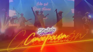 Zúmbale Primo - Concepción Concierto En Vivo