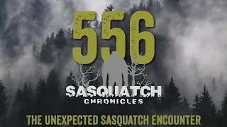 SC EP:556 The Unexpected Sasquatch Encounter