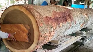 Amazing,! kayu Raksasa pok ro (batang ke 2) tanpa nama (jetos) bikin team graji  sawmill kewalahan