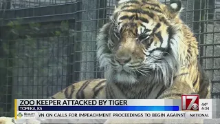 Topeka Zoo keeper attacked by tiger recovering in ICU