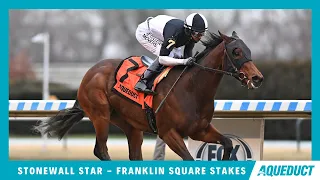 Stonewall Star - 2023 - The Franklin Square