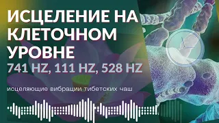 WHOLE BODY HEALING VIBRATIONS OF TIBETAN BOWLS (741 Hz + 111 Hz + 528 Hz)