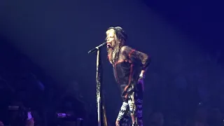 Aerosmith deuces are wild las vegas - i do'nt want miss a thing@park theather 2019/4/8