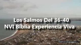 08.Salmos 36-40 NVI  Biblia Experiencia Viva