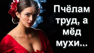 Невероятные Испанские Пословицы и Поговорки  Их Нужно Услышать Каждому!