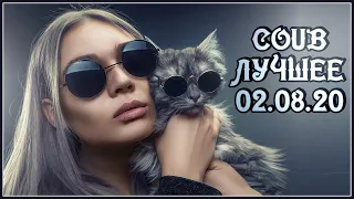 Coub приколы 2020 ЛУЧШЕЕ / BEST COUB #158